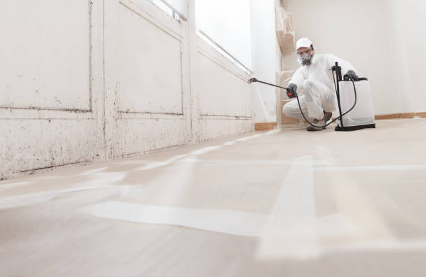 24/7 Emergency Attic Mold Remediation experts in Sedley, VA