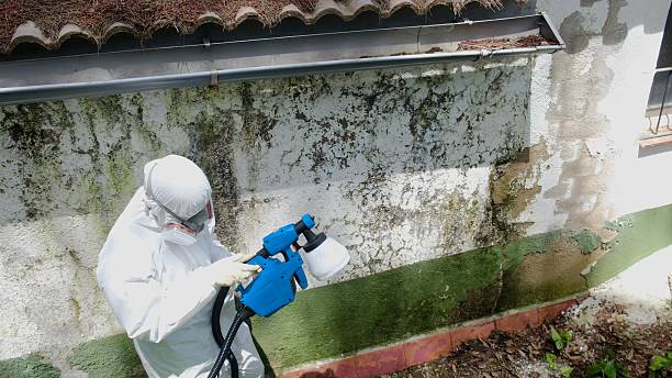 Top rated local Attic Mold Remediation specialists in Sedley, VA